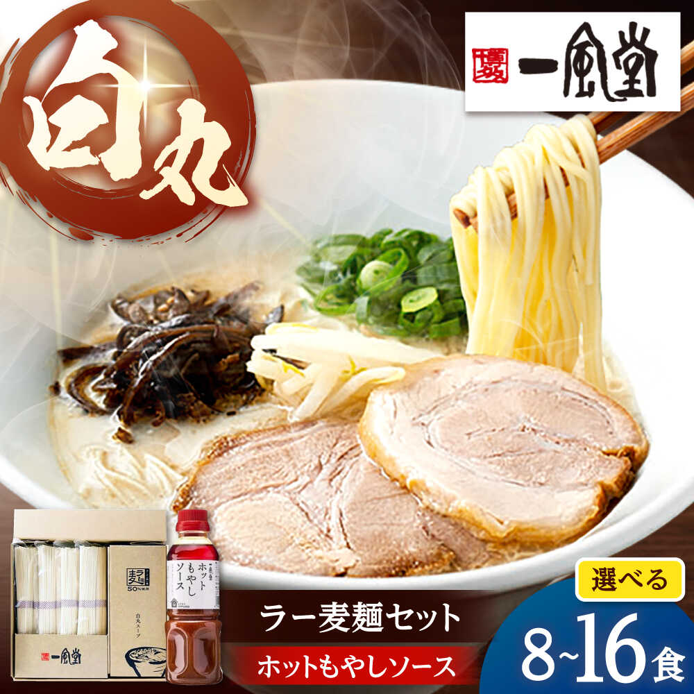 【ふるさと納税】ラー麦使用「一風堂」とんこつラーメン 白丸合計8〜16食セット【ホットもやしソース付き】 桂川町/博多漁師の里[ADCA005] 10000 10000円 1万円 以上