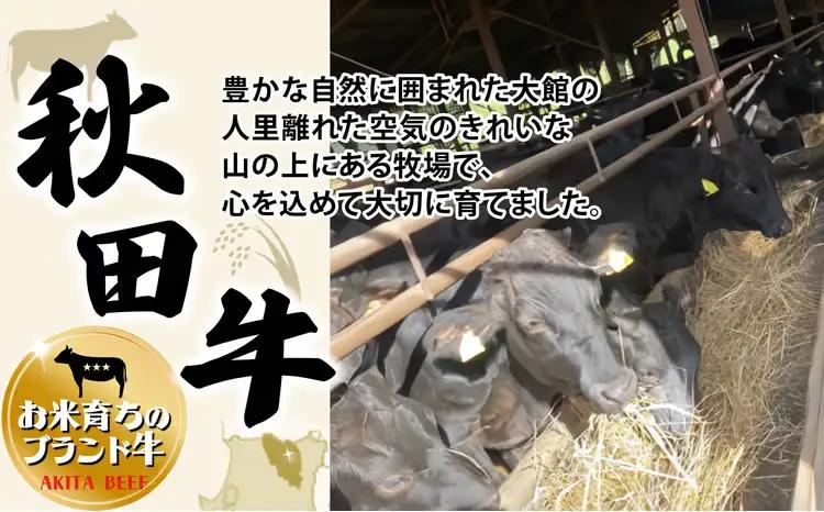 秋田牛ハンバーグ 360g（120g×3個）60P2603【東日本物産 】