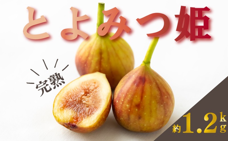 
                   【2026年9月下旬-10月下旬発送予定】福岡県産 とよみつ姫 約1.2kg(約300g×4パック入り) いちじく イチジク 無花果 とよみつひめ とよみつ姫 果物 スイーツ 数量 期間限定 ふるさと納税いちじく 甘い 人気 フルーツ ふるさと納税とよみつひめ ランキング 福岡県 川崎町 数量限定 期間限定
                