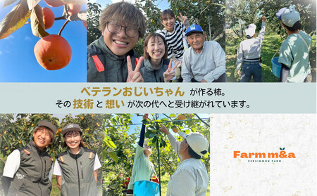 【先行予約】Farm m&aの富有柿 3L×6個 秀品 岐阜県 大野町（2025年11月下旬～発送）農家直送 果物 フルーツ 秋の味覚 柿 かき 富有 ふゆう