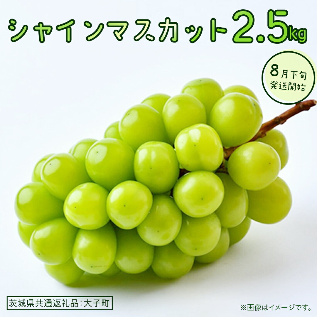 【ふるさと納税】シャインマスカット 2.5kg 【2026年8月下旬発送開始】 (茨城県共通返礼品：大子町 ) ぶどう 葡萄 ブドウ マスカット フルーツ 果物 贈答用 ギフト 贈り物