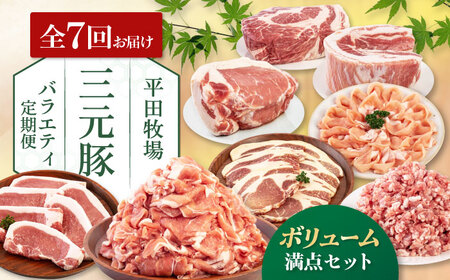 【全7回定期便】三元豚 バラエティ定期便 （ボリュームセット） 《喜茂別町》【平田牧場】 肉 豚肉 ロース バラ肉 ステーキ セット 定期便[AJAP128]
