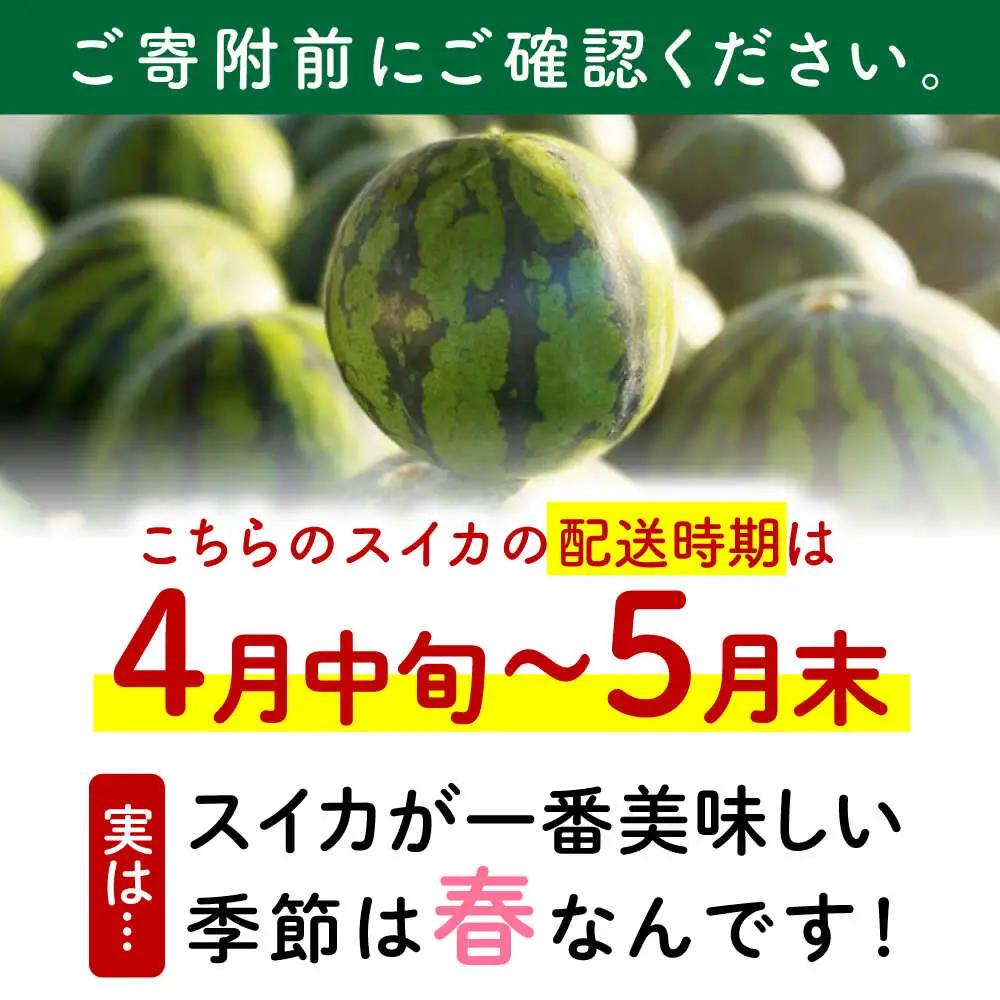 先行予約 大玉スイカ約7kg以上(1玉)ZEM004