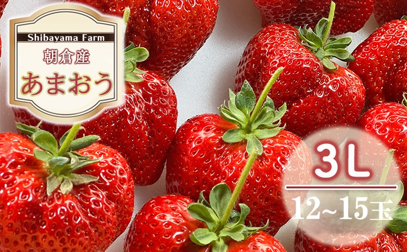 いちご 朝倉市産 あまおう 3L 12～15玉 イチゴ 苺 果物 デザー