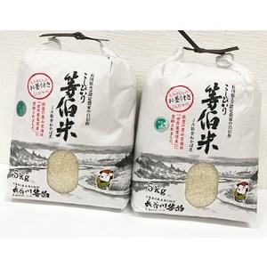 【令和5年産】等伯米コシヒカリ10kg (5kg×2袋)【1071556】