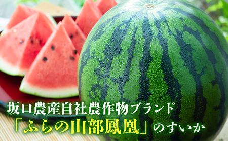 【2026年夏発送】ふらの山部の秀品スイカ『鳳凰スイカ』約3kg 1玉(坂口農産) 北海道 富良野産 すいか 西瓜 夏 フルーツ 果物 くだもの 青果