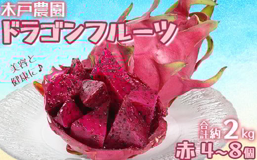 木戸農園のドラゴンフルーツ 計約2kg （赤4~8個） 先行予約 果物 フルーツ ＜113-007＞