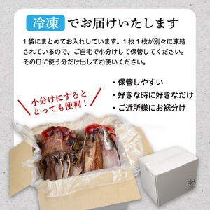 訳あり 干物 詰め合わせ 1.2kg 干物 
