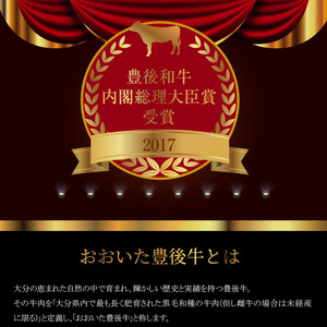 A01100　百年の恵み　おおいた和牛A5　すき焼用【厳選部位】約800ｇ