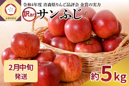 【2026年2月中旬発送】【訳あり】りんご 青森産 約5kg サンふじ