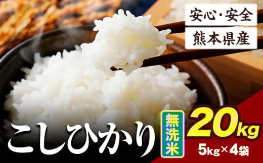 令和6年産 こしひかり 20kg 《7-14日以内に出荷予定(土日祝除く)》令和6年産 熊本県産 ふるさと納税 無洗米 ひの 米 こめ ふるさとのうぜい コシヒカリ コメ お米 おこめ