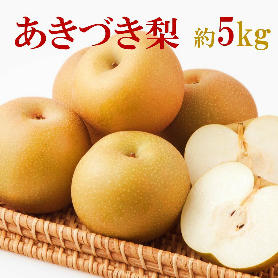 【ふるさと納税】【先行予約/数量限定】梨 あきづき 秋月 5kg 令和7年 9月 旬 秋の味覚 フルーツ 果物 なし ナシ 予約 数量限定