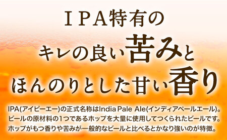 みなみ阿蘇ビール 阿蘇レッド IPA 330ml×6本セット 株式会社南阿蘇ケアサービス 《90日以内に出荷予定(土日祝除く)》 池山水源の湧水使用！ インディアペールエール みなみ阿蘇ビール ビール