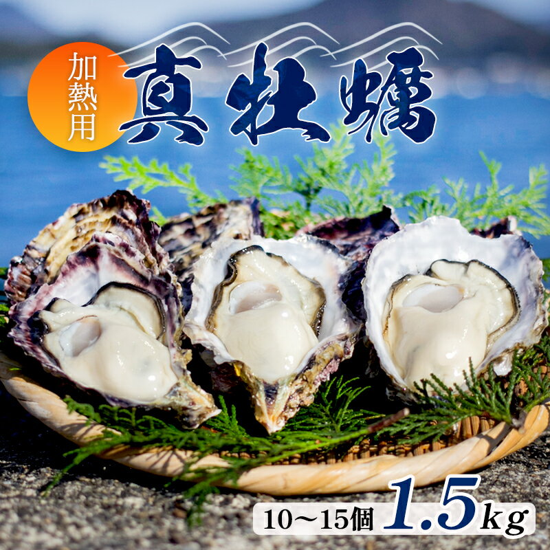 【ふるさと納税】 殻付き 真牡蠣 1.5kg 10〜15個 産地直送 殻付 1.5キロ セット 海鮮 魚介 加熱 調理用 貝 海産物 シーフード カキ オイスター 生かき カキフライ 牡蠣 オイスター 加熱調理用 酒蒸し 冬 日本海 育成 養殖 京都 舞鶴