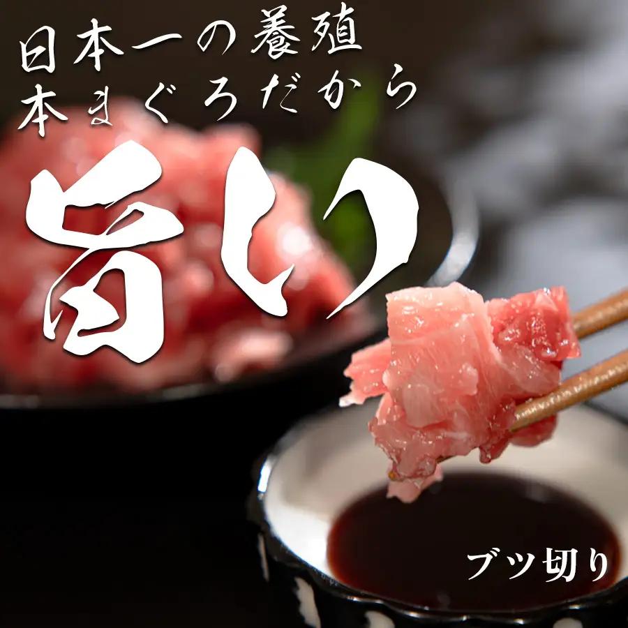 マグロ まぐろ 本マグロ 刺身 ぶつ切り 600g 養殖 本まぐろ さしみ 刺し身 ネギトロ ねぎとろ 漬け丼 海鮮丼 まぐろたたき 海鮮セット 柵 年末 年始 正月 高知県 大月町
