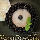 【ふるさと納税】植物性100％ Vegan Raw Cake Blueberry（ブルーベリー／Lサイズ）☆お砂糖☆小麦粉☆乳製品不使用のスイーツ ヴィーガンローケーキ 吉野ヶ里町/どんどん良くなる [FCF035]