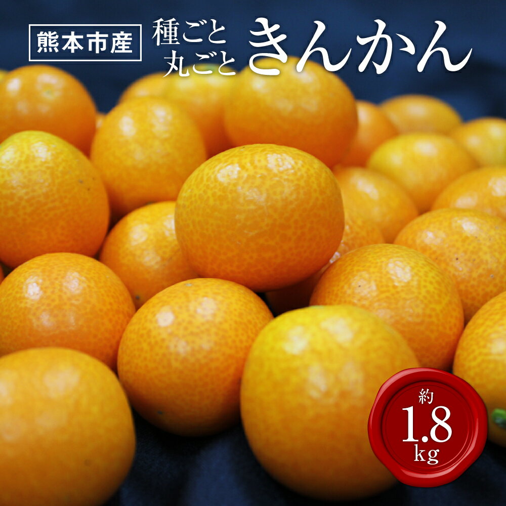 【ふるさと納税】 熊本市産 種ごと丸ごときんかん 約1.8kg きんかん 金柑 柑橘 フルーツ 果物 くだもの 果実 熊本市 熊本県 送料無料 【2027年1月下旬～2月下旬迄発送予定】