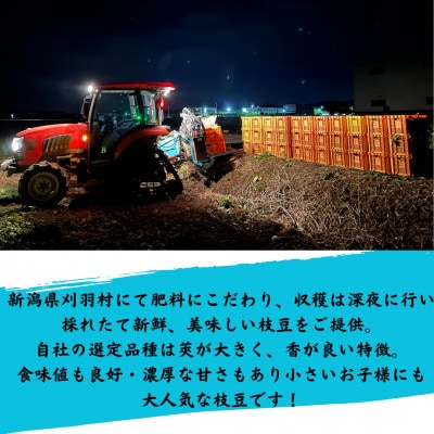 新潟県刈羽村　朝採直送枝豆　刈羽娘1kg(500g×2パック)【配送不可地域：離島・北海道・沖縄県】