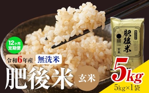 【12ヶ月定期便】熊本県産 肥後米 無洗米 玄米 5kg 1袋5kg 米 お米 令和6年産 九州産 熊本県産  送料無料《お申込み翌月に出荷予定》玄米 無洗米 米