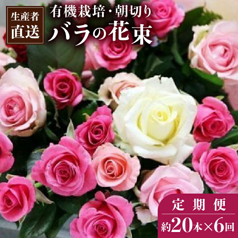 【ふるさと納税】朝切りバラ 花束 定期便 20本前後×6回 有機栽培 赤 ピンク 黄色 ミックス 埼玉県白岡市 | 生産者直送 薔薇 生花 花持ち 約50～60cm フラワーギフト 記念日 誕生日 母の日 敬老の日 インテリア 小山農園 自宅用
