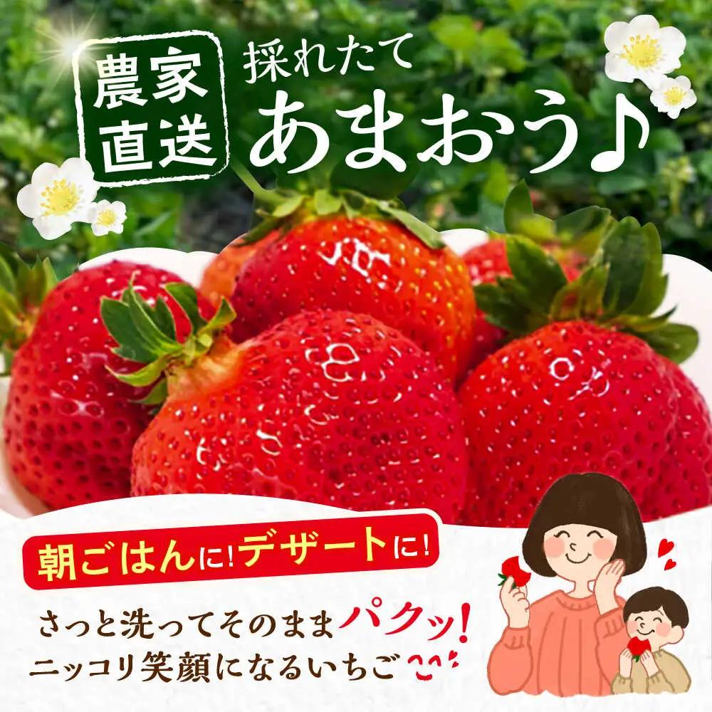 【先行予約】【1月発送】あまおう 贈答用 エクセレント 430g以上×1箱 VAB009 果物 あまおう