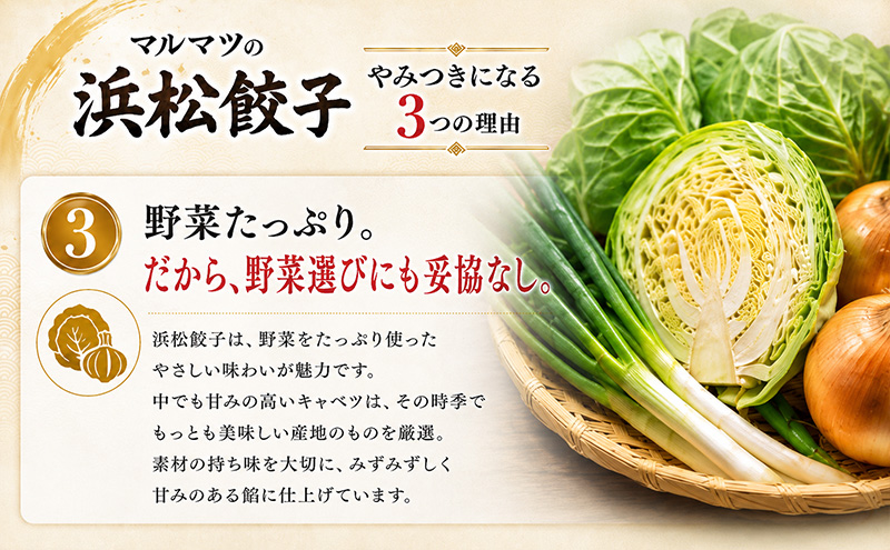 浜松餃子　120粒（定番の味　30粒×4袋）　総重量2.4kg！ 