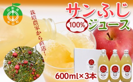 山形県中山町産 サンふじりんご100%ジュース 600ml×3本 令和5年産のりんご使用 2023年12月上旬より発送開始 渡辺ファーム F4A-0360