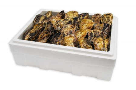 ★北海道・沖縄配送不可★【一粒殻付き牡蠣】Mサイズ40個《加熱用》