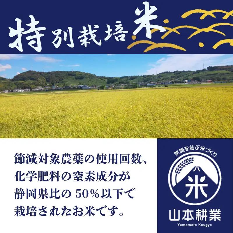 コシヒカリ 10kg 無洗米 牧之原市 静岡県 山本耕業