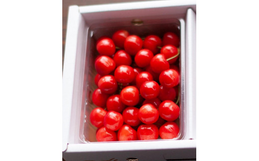 【2026年発送】さくらんぼ　紅秀峰　秀L-2L　500ｇバラ詰め