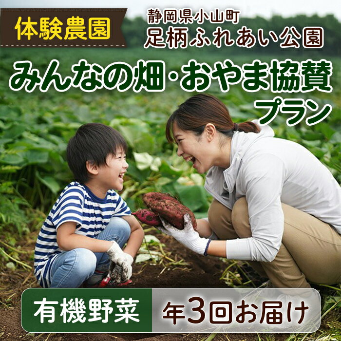 【ふるさと納税】足柄ふれあい公園 体験農園 みんなの畑・おやま協賛プラン | 有機野菜宅配（年3回）農園 農業 農作物 畑 野菜作り 体験 化学農薬 化学肥料 不使用 有機野菜 野菜 静岡県 小山町 送料無料