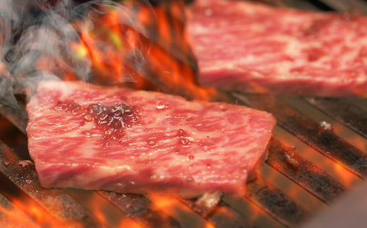 【定期便6回】熊本県産 和牛 肥後のあか牛 焼肉用 500g 計3kg 【 牛肉 和牛 お肉 肉 赤牛 あか牛 焼き肉 焼肉 焼き肉用 焼肉用 】 030-0382