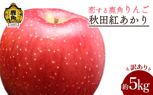 《 先行予約 》 令和7年産 秋田県鹿角産りんご 訳あり「秋田紅あかり」家庭用 約5kg ●2026年2月発送開始【恋する鹿角カンパニー】かづのりんご 食感 果汁 さっぱり リンゴ 完熟 旬 りんご 林檎 お中元 お歳暮 贈り物 お見舞い グルメ ギフト 故郷 秋田 あきた 鹿角市 鹿角 紅あかり 送料無料 