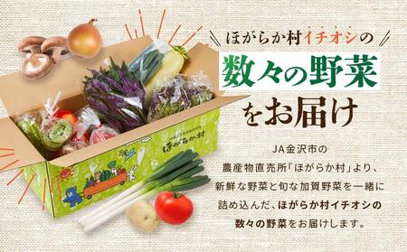 【全10回】JA金沢市 季節の加賀野菜・金沢地物野菜セット頒布会（毎月１回）