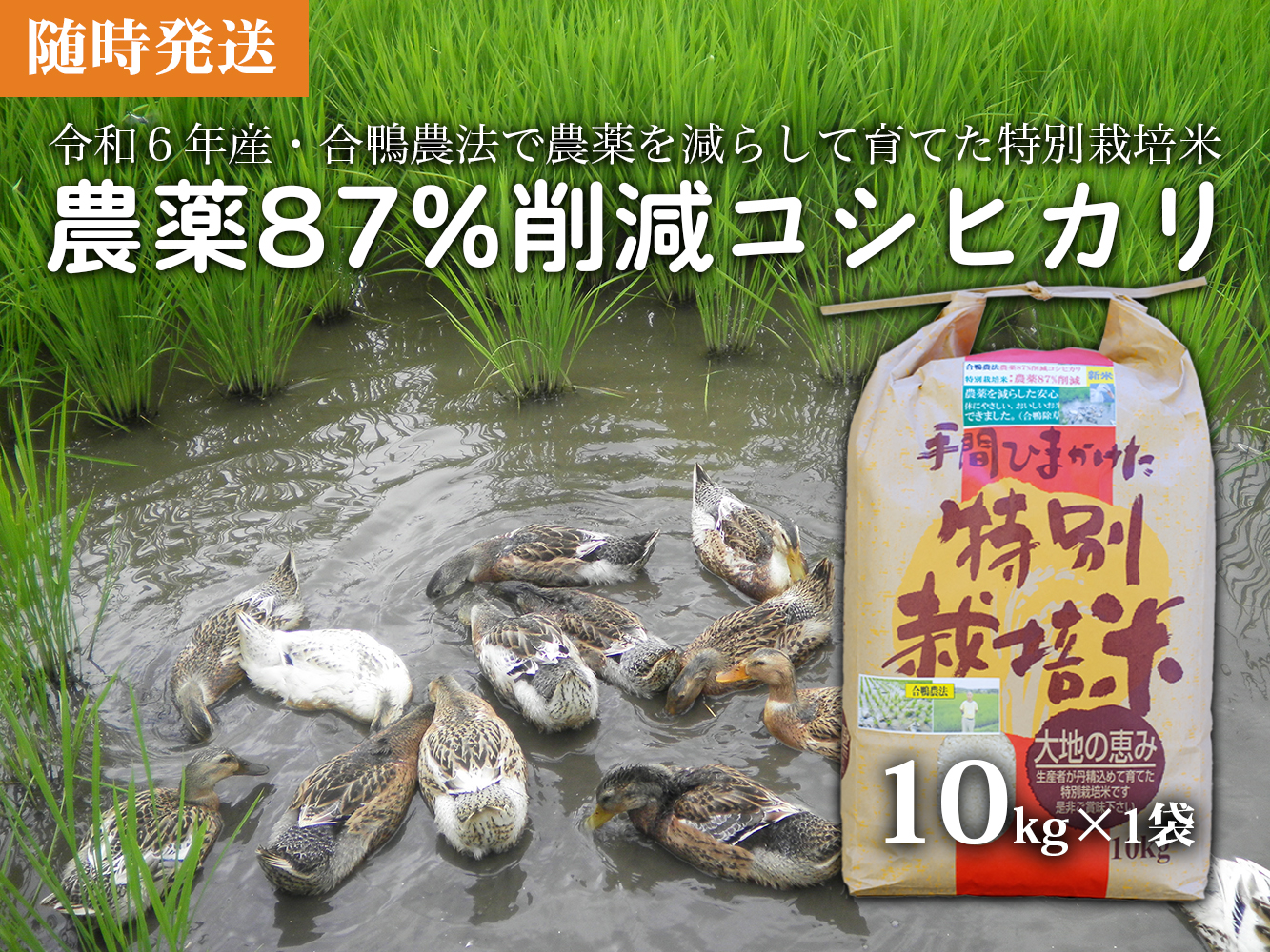 【令和6年産新米】農薬87%削減　コシヒカリ米　合鴨農法　10kg(特別栽培米、旧名：会津磐梯山黄金米）