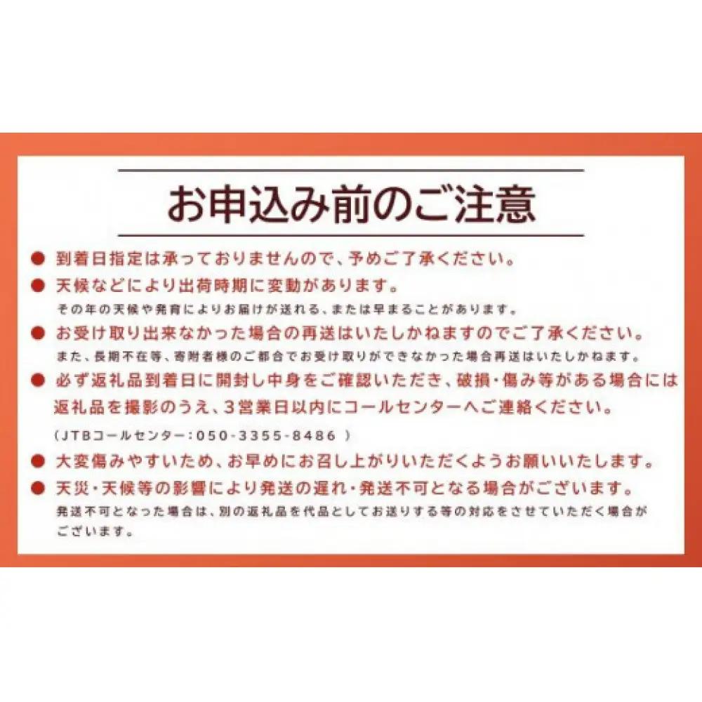【活】タグ付き 松葉ガニ 特大1枚（900g～1kg前後）【着日指定不可】※2026年11月上旬～2027年3月下旬頃に順次発送予定 | 松葉ガニ 蟹 かに
