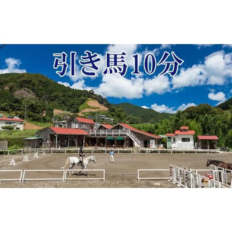 天城ホースビレッジ 施設利用券 引き馬10分（にんじん付き） 体験チケット 