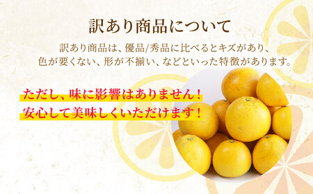 【 先行予約 】 訳あり 河内晩柑 10kg 送料無料 わけあり ワケアリ 不揃い 愛媛 愛南町産 愛南ゴールド 和製 グレープフルーツ みかん 蜜柑 柑橘 柑橘類 フルーツ 果物 くだもの 食品 食