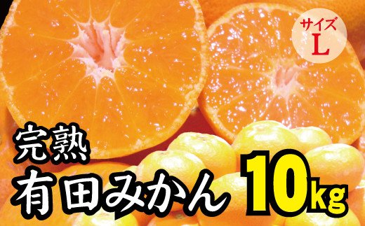 
【2022年秋以降発送予約分】＼光センサー選別／ 【農家直送】完熟有田みかんLサイズ　約10kg 有機質肥料100%　※2022年11月中旬より順次発送予定（お届け日指定不可）
