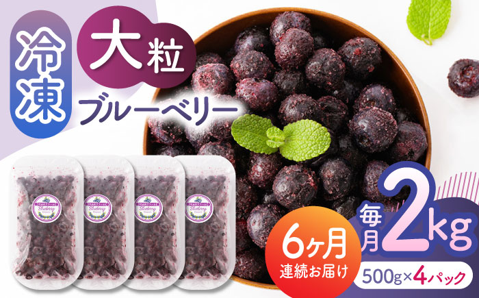 【先行予約】【6回定期便】大粒 冷凍ブルーベリー 約2000g（約500g×4pc） 【すみれファーム】 [ZEP017]