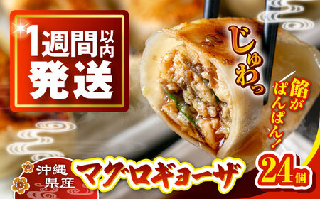 冷凍マグロギョーザ 24個(12個入り2パック)  7000円 BCDZ003