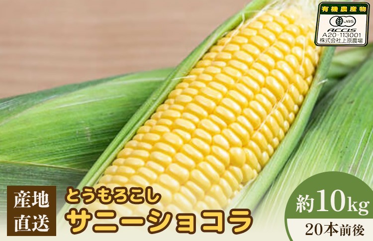 【先行予約】上原農場直送 有機栽培とうもろこし (サニーショコラ)約10kg 約20本前後【66020】
