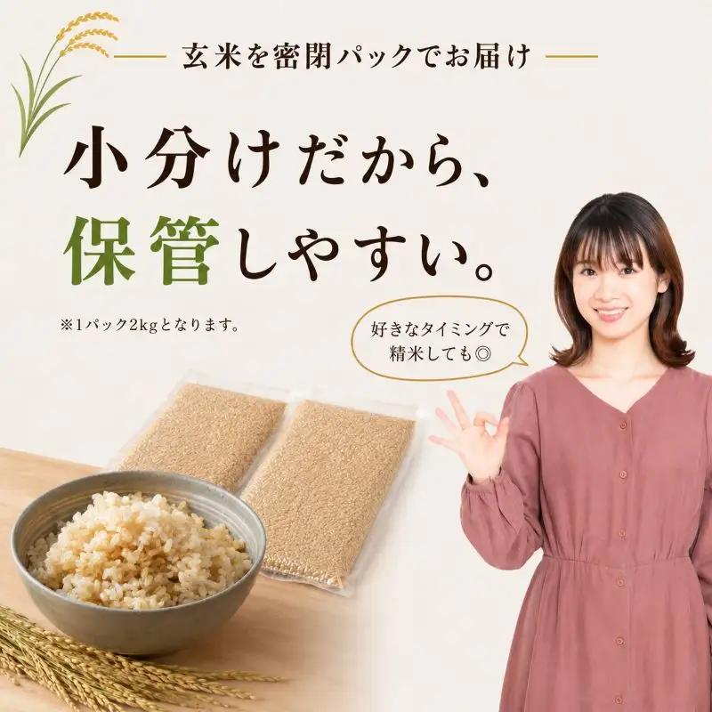 【定期便3回】令和8年度 新米 栃木県産 こしひかり 2kg 玄米 密閉パック | BG 栃木県共通返礼品 真岡市産 栃木県 下野市