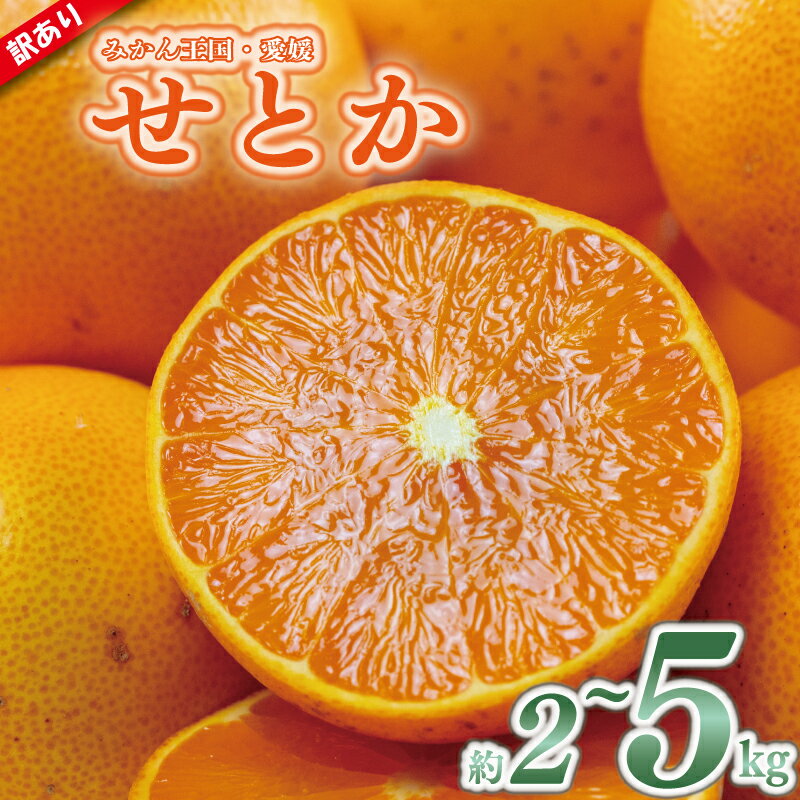 【ふるさと納税】【先行予約】 せとか 訳あり みかん 約2kg / 約5kg | 家庭用 せとか セトカ 訳あり みかん 訳あり柑橘 柑橘 ふるさと納税せとか フルーツ 果物 くだもの デザート 果実 青果 国産 産地直送 送料無料 愛媛県 松山市 【2026年1月下旬頃から発送予定】