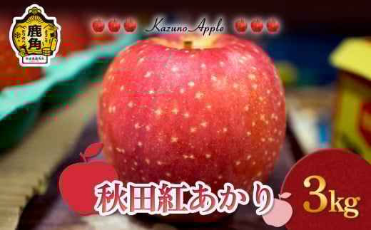 《 先行予約 》 鹿角りんご「秋田紅あかり」3kg（7～10玉前後）【佐藤秀果園】●2025年11月上旬発送開始 リンゴ 林檎 贈答用 果汁 完熟 旬 県産りんご お中元 お歳暮 贈り物 お見舞い グルメ ギフト 故郷 秋田 あきた 鹿角市 鹿角 送料無料 