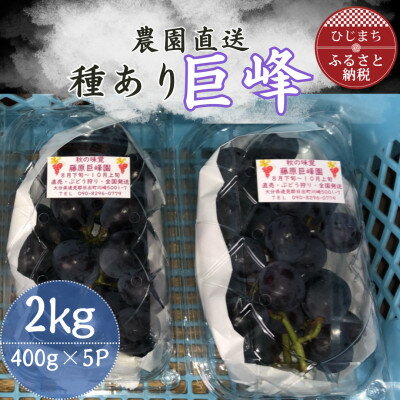 【ふるさと納税】巨峰(種あり)5パック【配送不可地域：離島】【1731657】