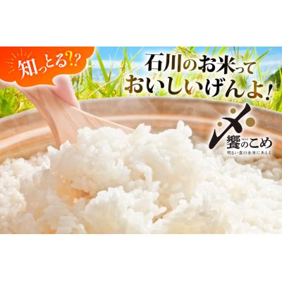 ふるさと納税 宝達志水町  米 令和7年 ひゃくまん穀 精米 10kg ×2袋 計 20kg [中橋商事 38601202] |  | 01