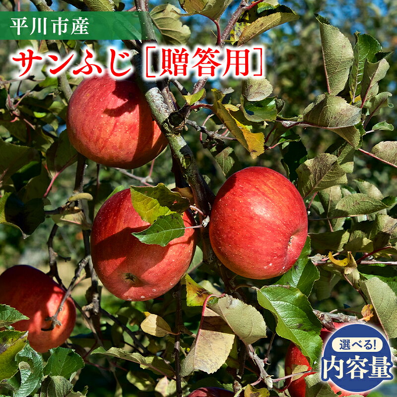 【ふるさと納税】 ≪内容量が選べる≫ 青森県 贈答用 サンふじ 約3kg 約5kg 11月下旬〜順次発送 【 青森県 平川市 今井農園 】青森県産 産地直送 ふじ フジ りんご リンゴ 林檎 フルーツ 果物 くだもの お取り寄せ グルメ