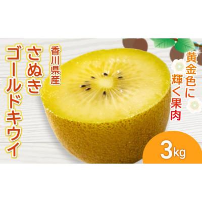 ふるさと納税 丸亀市 先行受付 さぬきゴールドキウイ 約3kg キウイフルーツ 香川県産 丸亀市