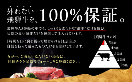 ≪品質100%保証≫　A5等級飛騨牛 特上シャトーブリアンステーキ 450g（150g×3)　|シャトーブリアン  